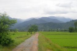 cliquez sur l'image pour l'agrandir