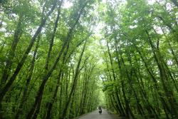 cliquez sur l'image pour l'agrandir