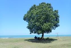 cliquez sur l'image pour l'agrandir