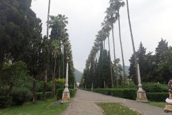 cliquez sur l'image pour l'agrandir